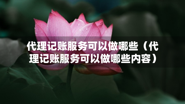 代理記賬服務可以做哪些（代理記賬服務可以做哪些內(nèi)容）