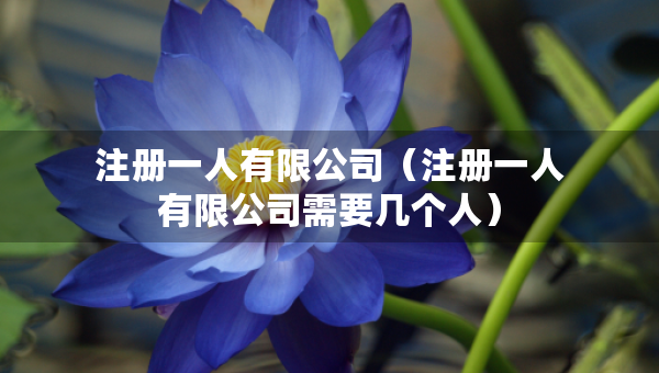 注冊一人有限公司（注冊一人有限公司需要幾個人）