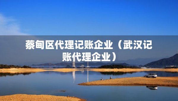 蔡甸區(qū)代理記賬企業(yè)（武漢記賬代理企業(yè)）