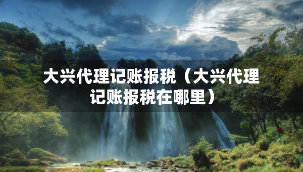 大興代理記賬報稅（大興代理記賬報稅在哪里）