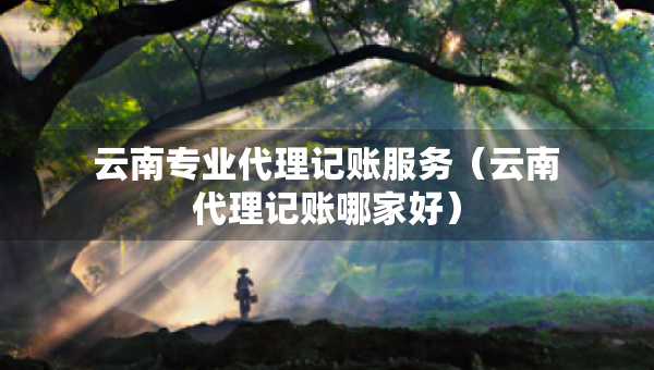 云南專業(yè)代理記賬服務(wù)（云南代理記賬哪家好）