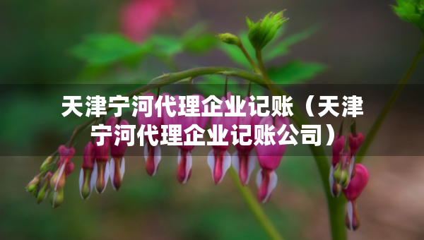 天津?qū)幒哟砥髽I(yè)記賬（天津?qū)幒哟砥髽I(yè)記賬公司）