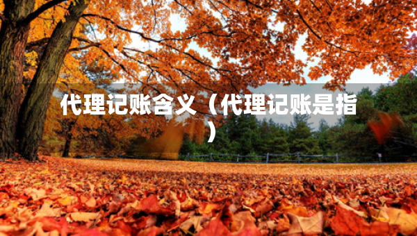 代理記賬含義（代理記賬是指）