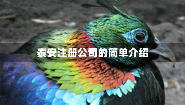 泰安注冊公司的簡單介紹
