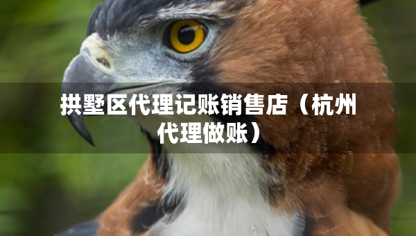 拱墅區(qū)代理記賬銷售店（杭州代理做賬）