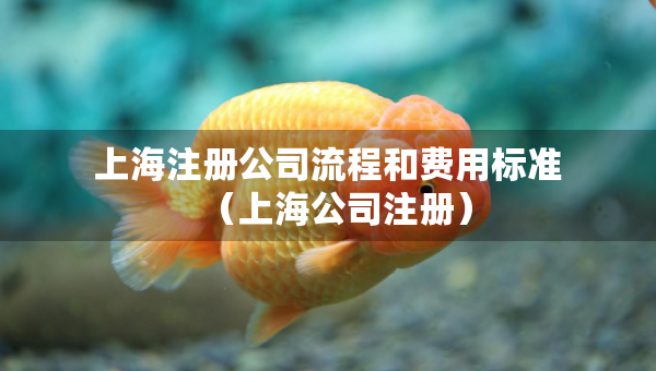 上海注冊公司流程和費用標準（上海公司注冊）