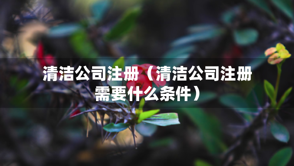 清潔公司注冊（清潔公司注冊需要什么條件）