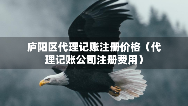 廬陽區(qū)代理記賬注冊價格（代理記賬公司注冊費用）
