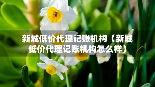 新城低價(jià)代理記賬機(jī)構(gòu)（新城低價(jià)代理記賬機(jī)構(gòu)怎么樣）