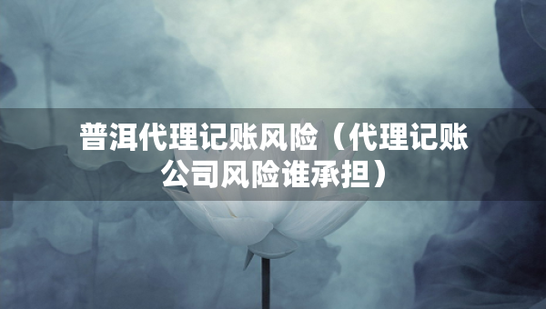 普洱代理記賬風(fēng)險(xiǎn)（代理記賬公司風(fēng)險(xiǎn)誰承擔(dān)）