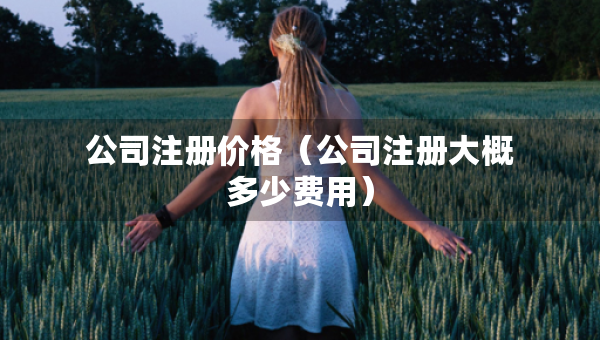 公司注冊價(jià)格（公司注冊大概多少費(fèi)用）