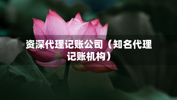 資深代理記賬公司（知名代理記賬機(jī)構(gòu)）
