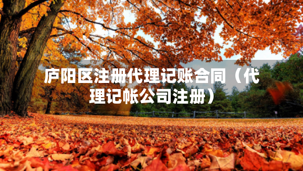 廬陽區(qū)注冊代理記賬合同（代理記帳公司注冊）