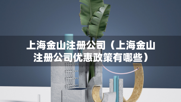 上海金山注冊(cè)公司（上海金山注冊(cè)公司優(yōu)惠政策有哪些）