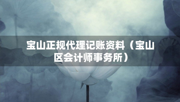 寶山正規(guī)代理記賬資料（寶山區(qū)會計師事務(wù)所）