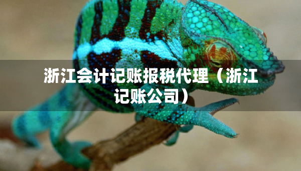 浙江會計(jì)記賬報(bào)稅代理（浙江記賬公司）