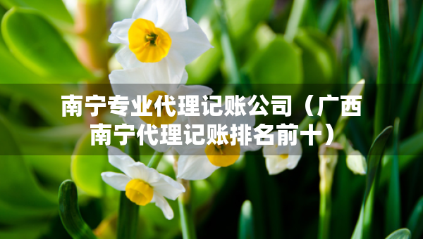 南寧專業(yè)代理記賬公司（廣西南寧代理記賬排名前十）