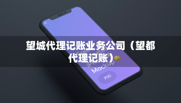 望城代理記賬業(yè)務(wù)公司（望都代理記賬）