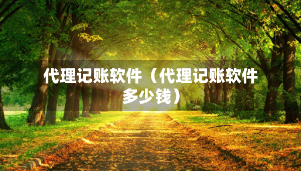 代理記賬軟件（代理記賬軟件多少錢）