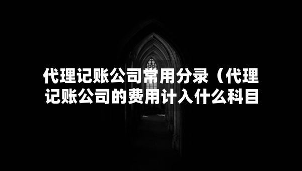 代理記賬公司常用分錄（代理記賬公司的費(fèi)用計(jì)入什么科目）