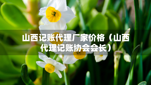 山西記賬代理廠家價(jià)格（山西代理記賬協(xié)會(huì)會(huì)長(zhǎng)）