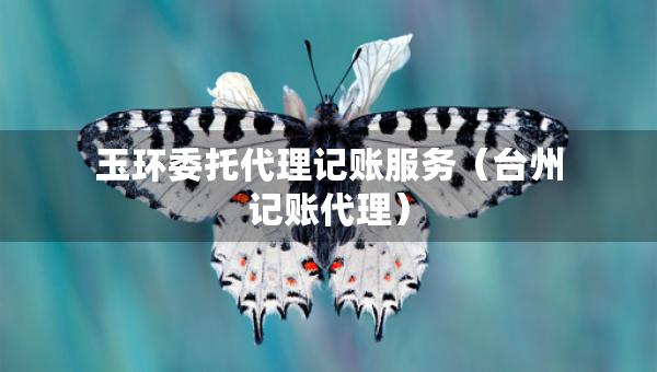 玉環(huán)委托代理記賬服務(wù)（臺(tái)州記賬代理）