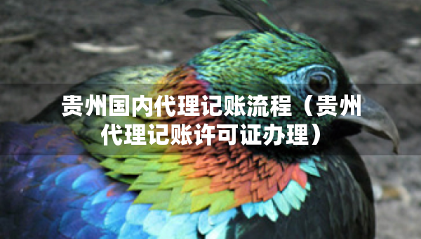 貴州國內(nèi)代理記賬流程（貴州代理記賬許可證辦理）