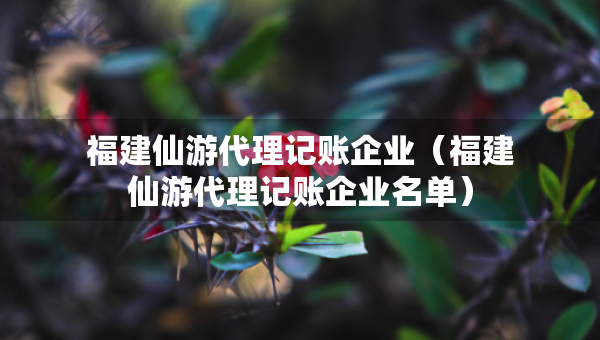 福建仙游代理記賬企業(yè)（福建仙游代理記賬企業(yè)名單）