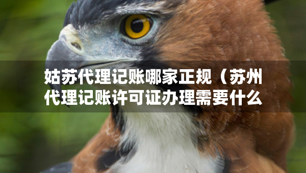 姑蘇代理記賬哪家正規(guī)（蘇州代理記賬許可證辦理需要什么條件）