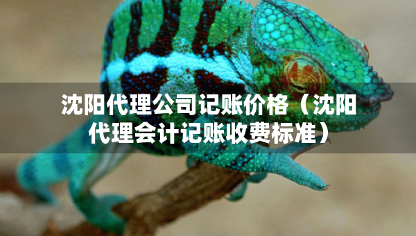 沈陽代理公司記賬價格（沈陽代理會計記賬收費標準）