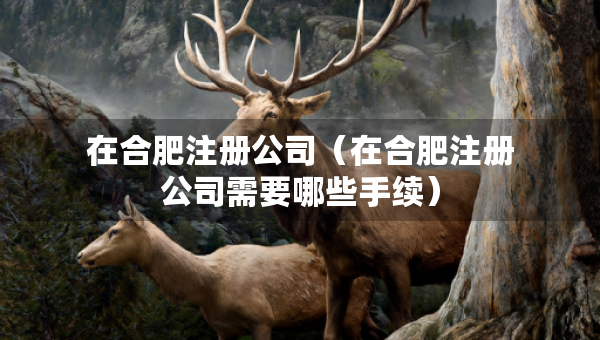 在合肥注冊(cè)公司（在合肥注冊(cè)公司需要哪些手續(xù)）