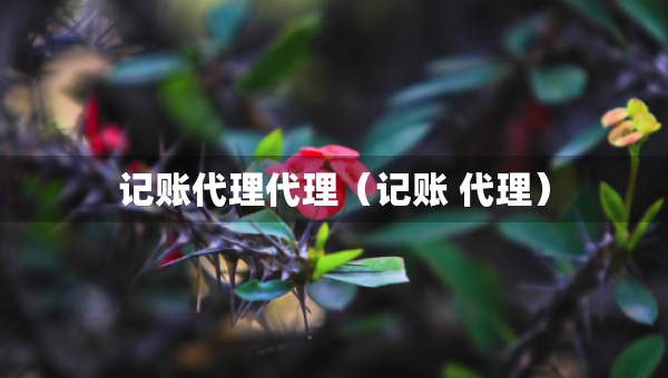 記賬代理代理（記賬 代理）