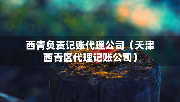 西青負(fù)責(zé)記賬代理公司（天津西青區(qū)代理記賬公司）