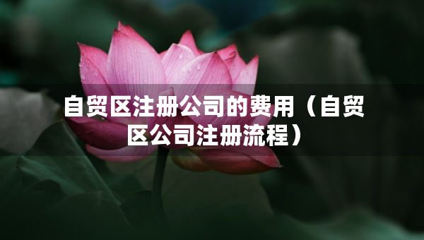 自貿(mào)區(qū)注冊(cè)公司的費(fèi)用（自貿(mào)區(qū)公司注冊(cè)流程）