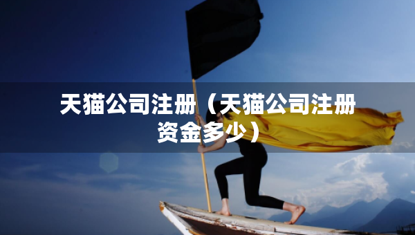 天貓公司注冊(cè)（天貓公司注冊(cè)資金多少）
