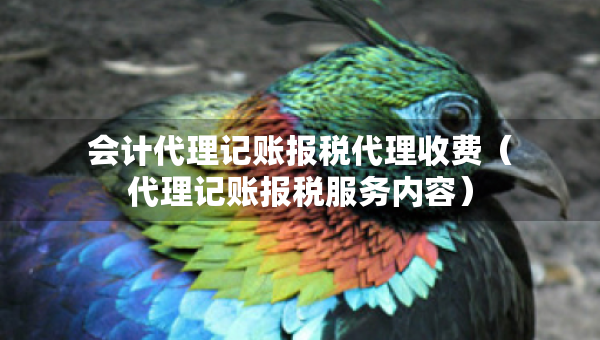 會計代理記賬報稅代理收費（代理記賬報稅服務(wù)內(nèi)容）
