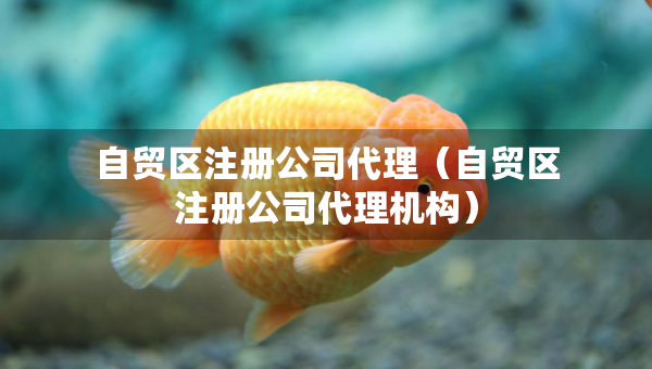 自貿(mào)區(qū)注冊(cè)公司代理（自貿(mào)區(qū)注冊(cè)公司代理機(jī)構(gòu)）
