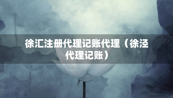 徐匯注冊(cè)代理記賬代理（徐涇代理記賬）
