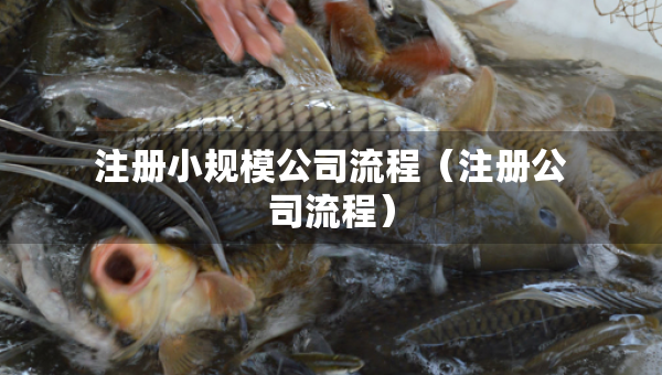 注冊小規(guī)模公司流程（注冊公司流程）