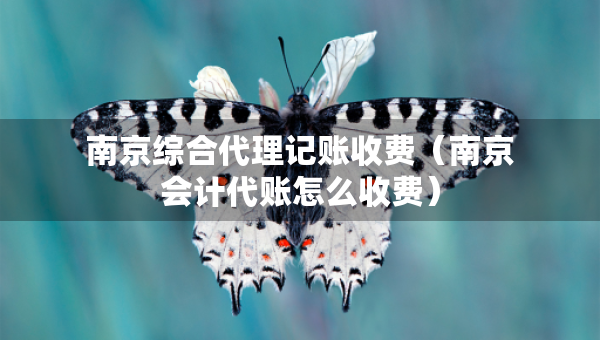 南京綜合代理記賬收費（南京會計代賬怎么收費）
