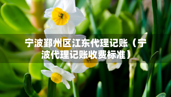 寧波鄞州區(qū)江東代理記賬（寧波代理記賬收費(fèi)標(biāo)準(zhǔn)）