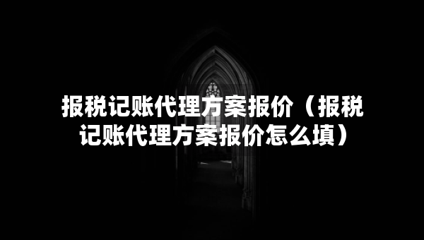 報稅記賬代理方案報價（報稅記賬代理方案報價怎么填）