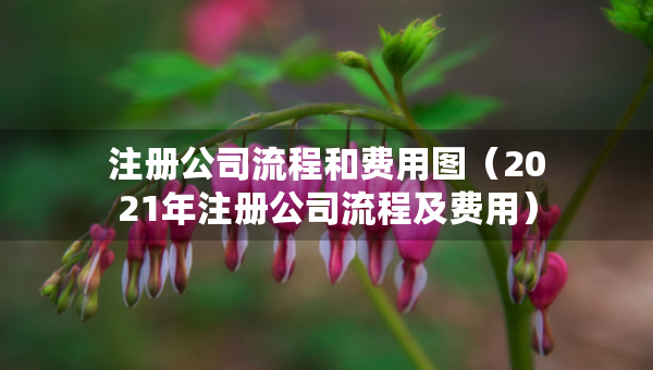 注冊公司流程和費(fèi)用圖（2021年注冊公司流程及費(fèi)用）