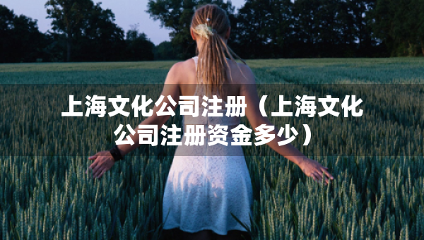 上海文化公司注冊(cè)（上海文化公司注冊(cè)資金多少）