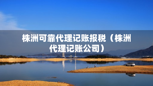 株洲可靠代理記賬報(bào)稅（株洲代理記賬公司）