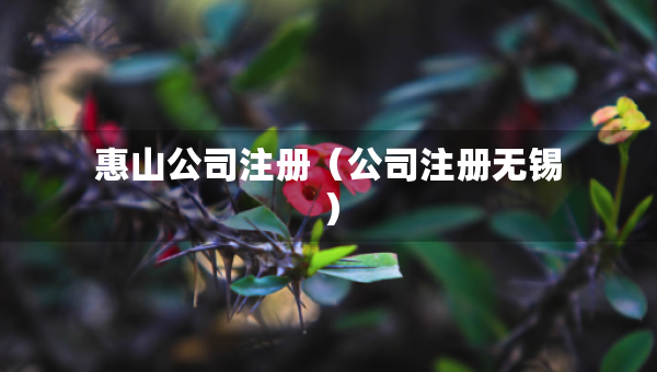 惠山公司注冊(cè)（公司注冊(cè)無(wú)錫）