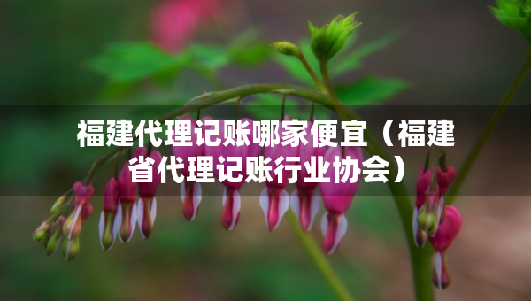 福建代理記賬哪家便宜（福建省代理記賬行業(yè)協(xié)會）