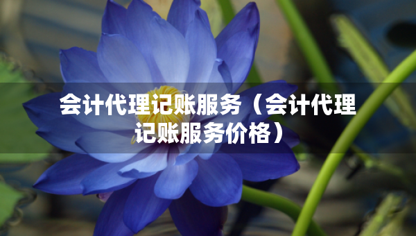 會計代理記賬服務(wù)（會計代理記賬服務(wù)價格）