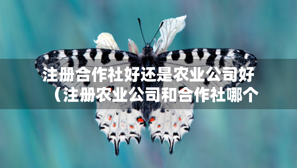 注冊合作社好還是農(nóng)業(yè)公司好（注冊農(nóng)業(yè)公司和合作社哪個好）