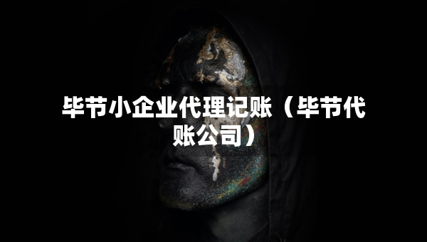 畢節(jié)小企業(yè)代理記賬（畢節(jié)代賬公司）